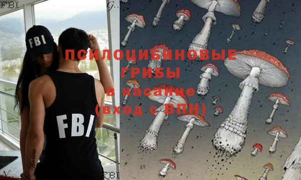 стафф Алексин