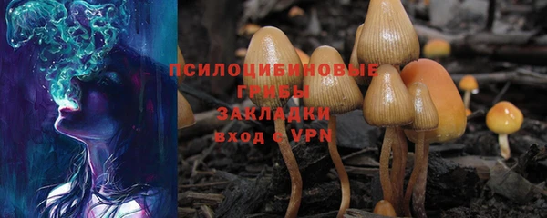 МДПВ Абаза