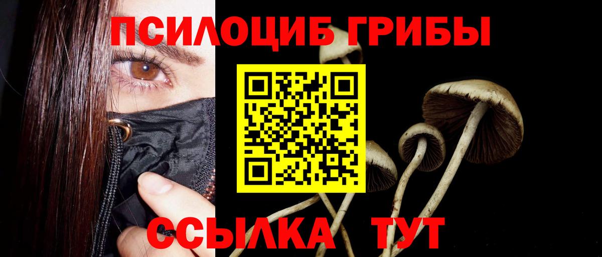 Тюмень  Псилоцибиновые грибы Magic Shrooms  Вход с VPN  Галлюциногенные грибы мухоморы 
