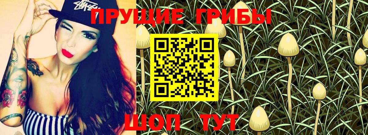 Галлюциногенные грибы GOLDEN TEACHER Тюмень